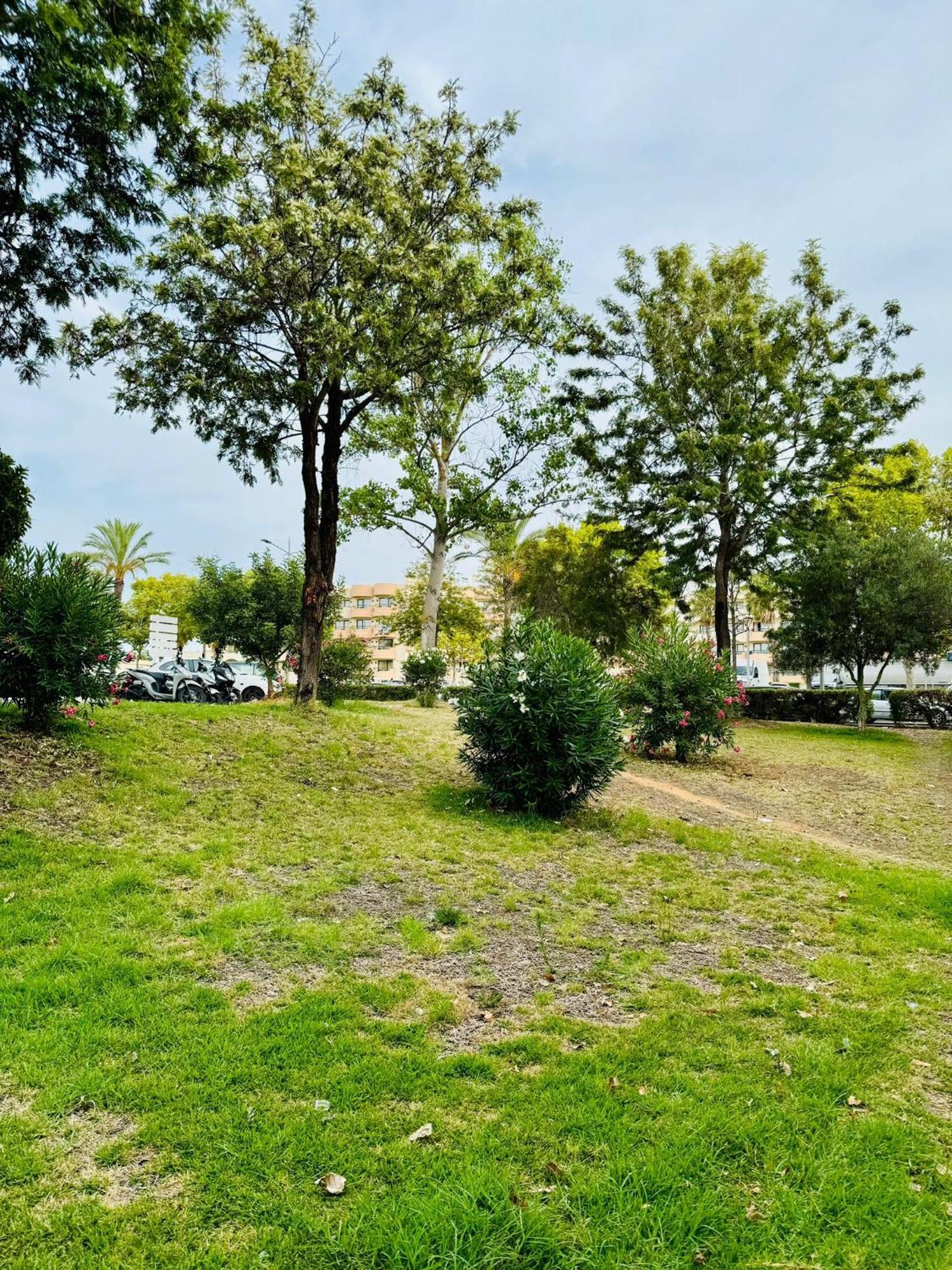 Apartment T4 Albufeira